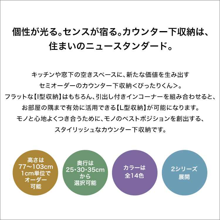 セミオーダーカウンター下収納ぴったりくん キャビネット 幅120cm×奥行30cm - 9